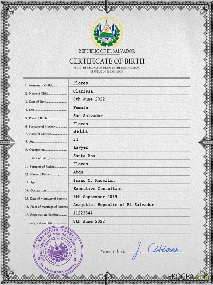 Modèle PSD de certificat de naissance de l'état civil du Salvador 1 template Modèle PSD de certificat de naissance de l'état civil du Salvador 1 template